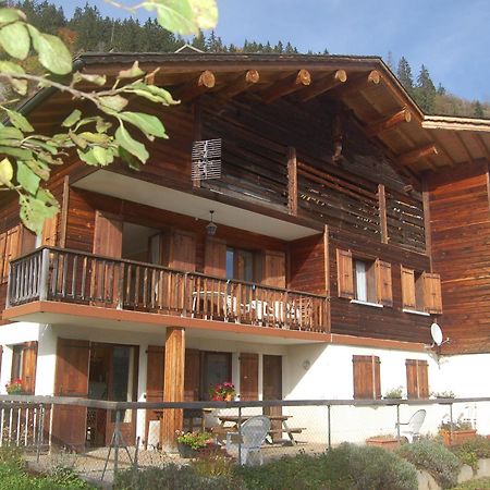 Appartement 6 Personnes, Animaux Acceptes, Parking - Le Grand-Bornand - Fr-1-467-39 Екстериор снимка